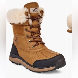 UGG Adirondack Boot III in Brown and Cream